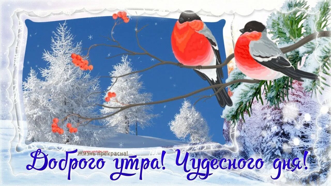 Картинка доброе утро хорошего дня зимние Доброго_утра_24_01
