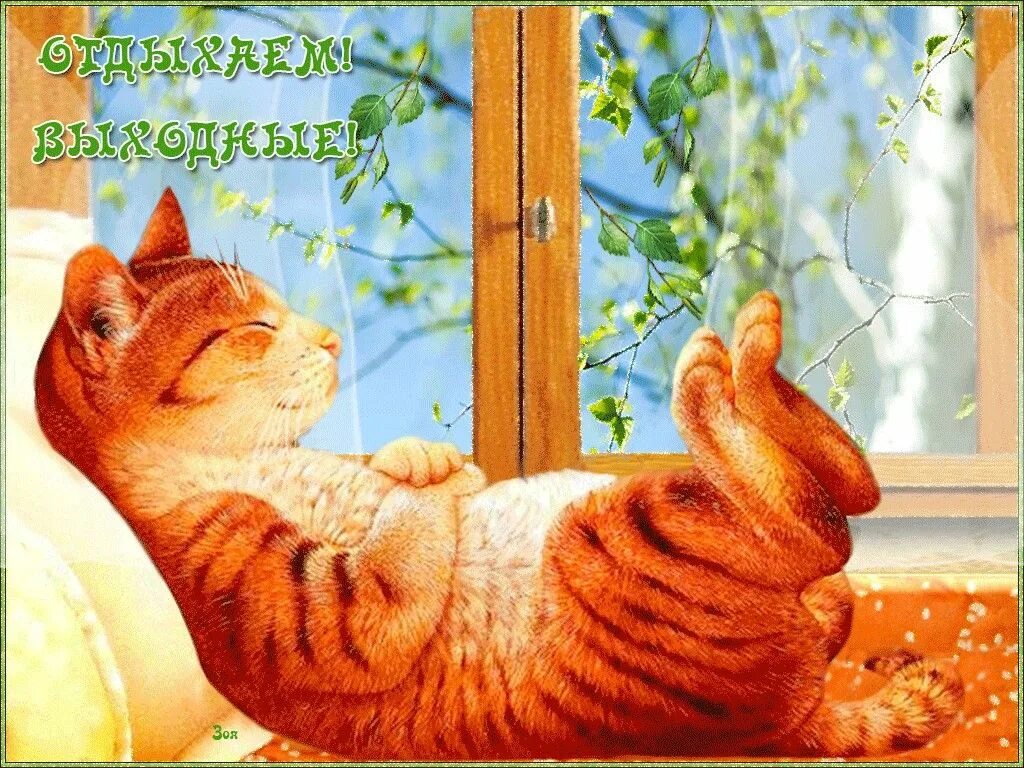 Картинка доброе утро хороших выходных прикольные дни недели. panosundaki Pin