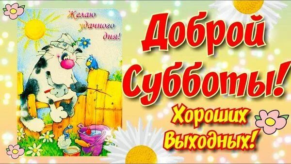 Картинка доброе утро хороших выходных прикольные Открытки про субботу - cтраница 5 Открытки, Выходные, Картинки