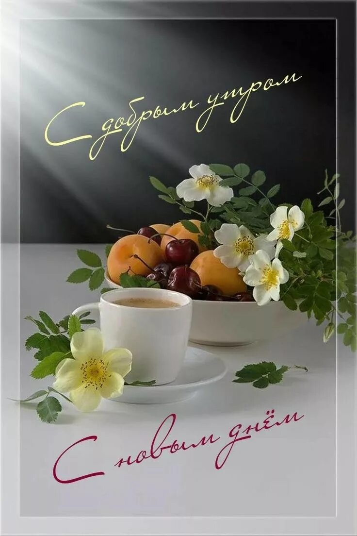 Картинка доброе утро и хорошего дня женщине Pin on Tea & Tiffen posts Good morning inspiration, Good morning photos, Good mo
