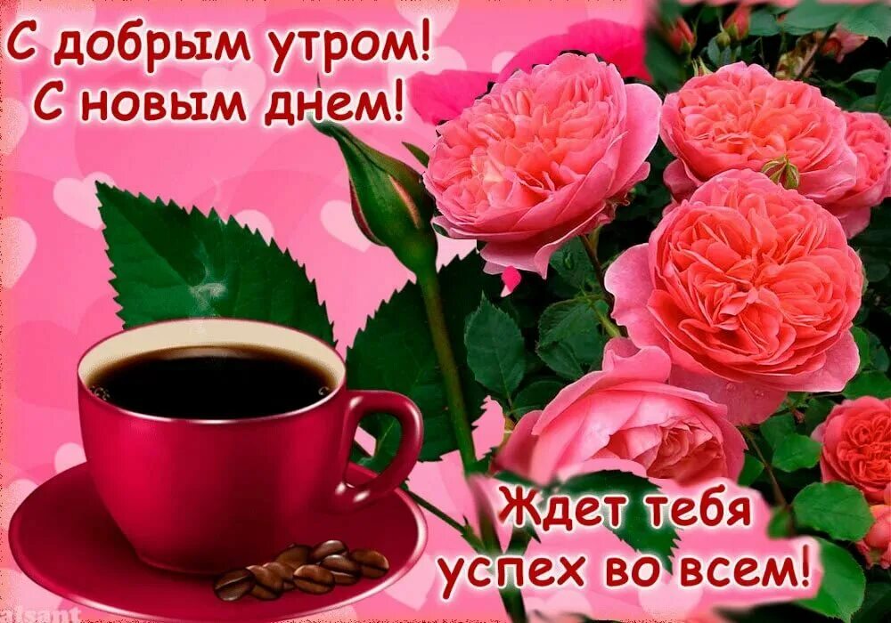 Картинка доброе утро и хорошего дня женщине Прекрасного утра доброго дня открытка с пожеланиями - найдено 88 картинок
