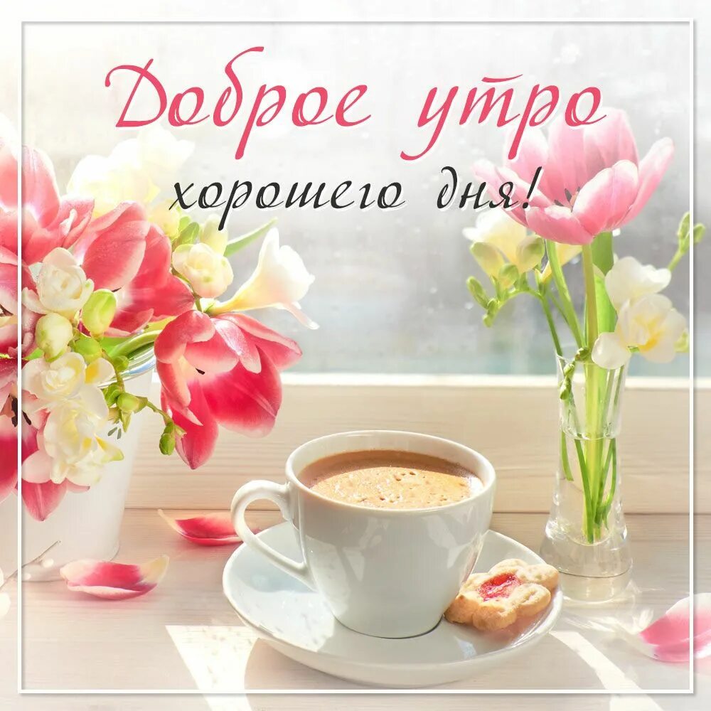 Картинка доброе утро и хорошего дня женщине Хорошего дня: картинки доброе утро - инстапик Доброе утро, Картинки, Счастливые 