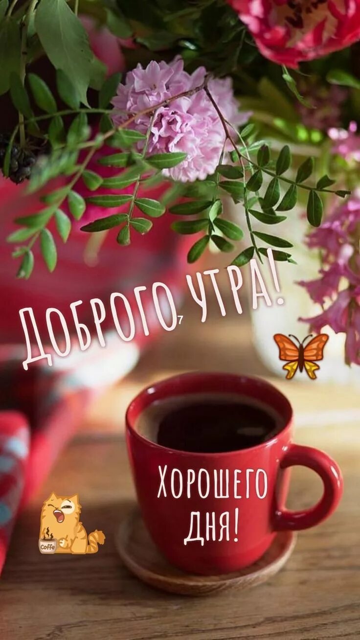 Картинка доброе утро и хорошего дня женщине Pin on Доброе утро