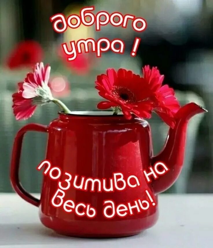 Картинка доброе утро и хорошего дня женщине Pin by Gulnara on ДОБРОЕ УТРО ! Привет !☕ ☕ Good morning gif, Good morning wishe