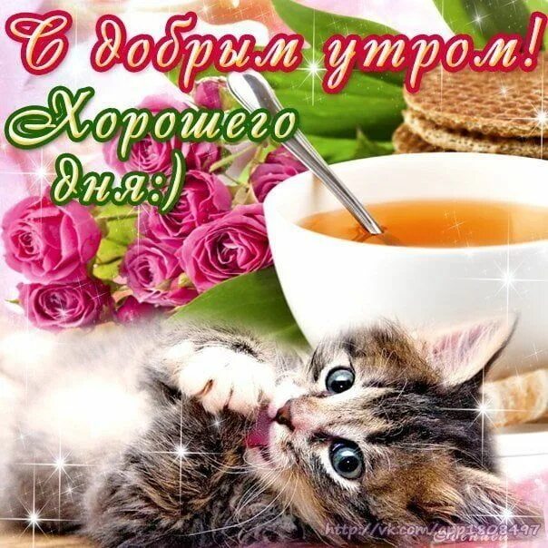 Картинка доброе утро и хорошего настроения Доброе утро - картинки с добрым утром 2019 (55 открытки) - Kefline Good morning 