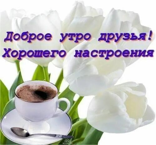 Картинка доброе утро коллеги красивая Пин на доске доброе.утро Доброе утро