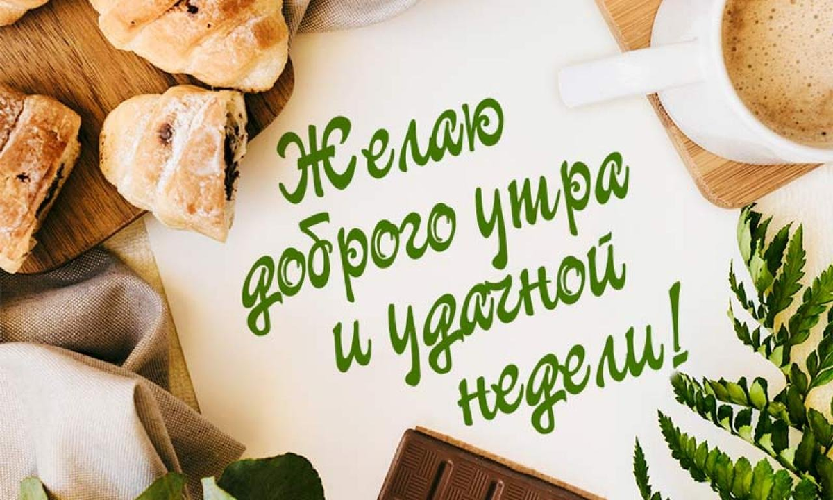 Картинка доброе утро коллеги красивая Что посмотрела, что посеяла, что в меню было/отчёт за выходные Дневник Десятипуд