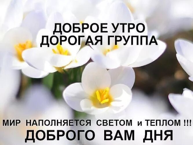Картинка доброе утро коллеги красивая Лента по интересам - Картинки - 1157046 - Tabor.ru