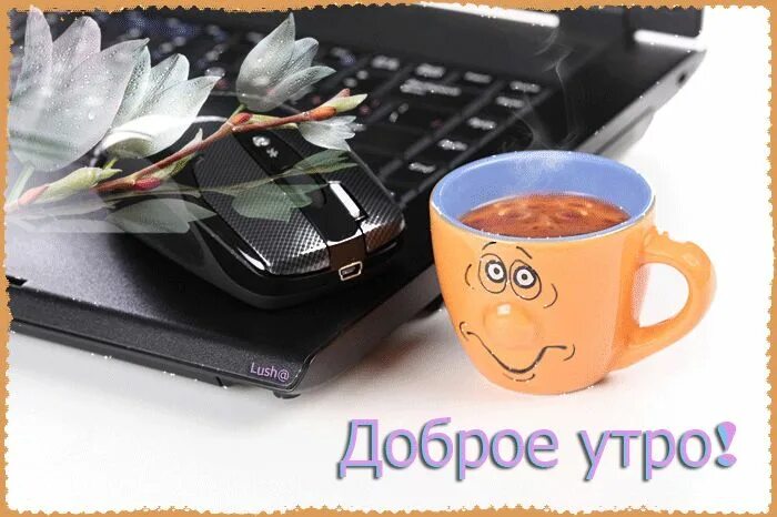 Картинка доброе утро коллеги красивая Утро. Spirit animal art, Good morning, Spirit animal