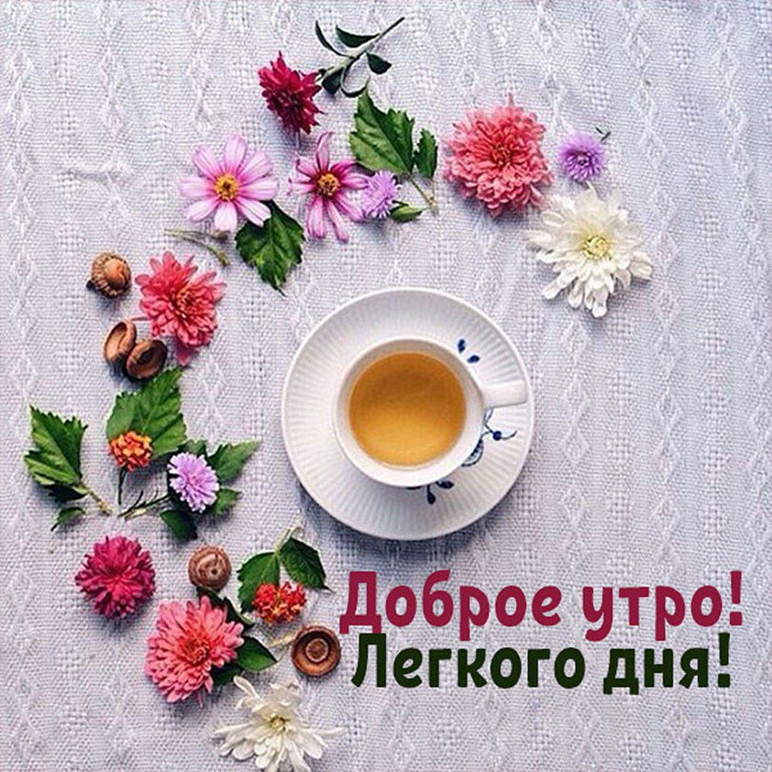 Картинка доброе утро коллеги красивая Post #1439 - Женская Психология l Познай Себя (@psycholog_female)