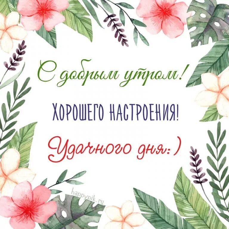 Картинка доброе утро коллеги красивая С добрым утром, хорошего настроения, удачного дня Cards, Good morning, New pins