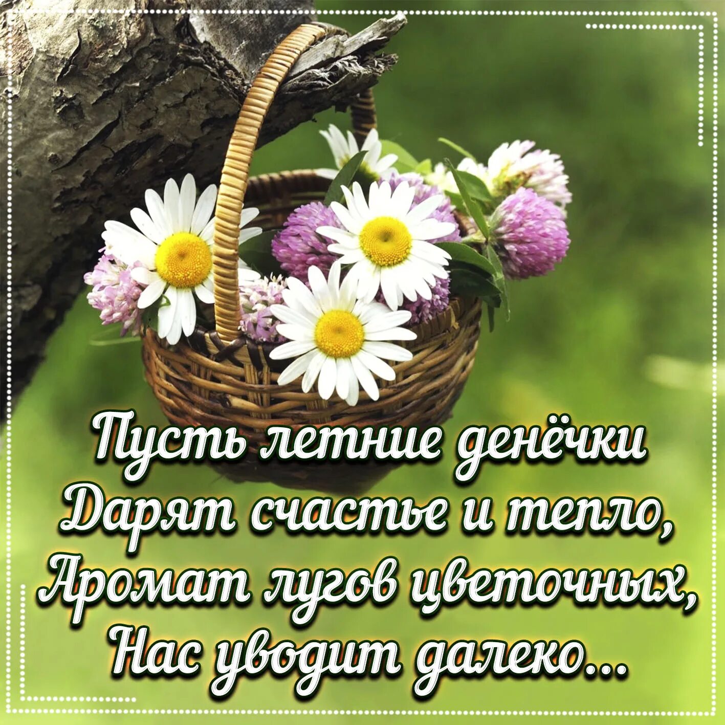 Картинка доброе утро лета с пожеланиями Добрейшего утречка и хорошего денечка с пожеланиями: найдено 87 изображений