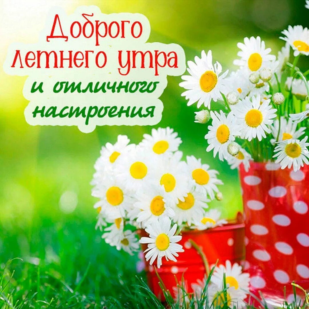 Картинка доброе утро лета с пожеланиями ЛЕТНИЕ открытки с добрым летним утром Праздник, Летние картинки, Открытки