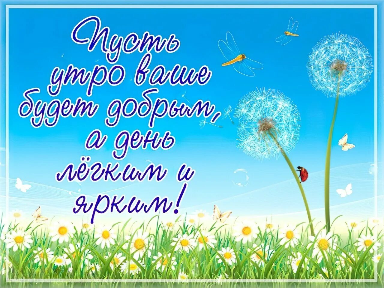 Картинка доброе утро лета с пожеланиями Пожелания с днем лета в прозе: найдено 90 изображений