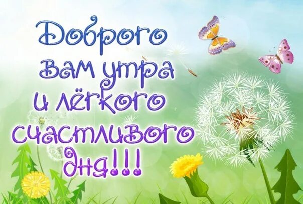 Картинка доброе утро лета с пожеланиями Happy new day and good morning, Wake up, smile. May your miracle fill the day, A