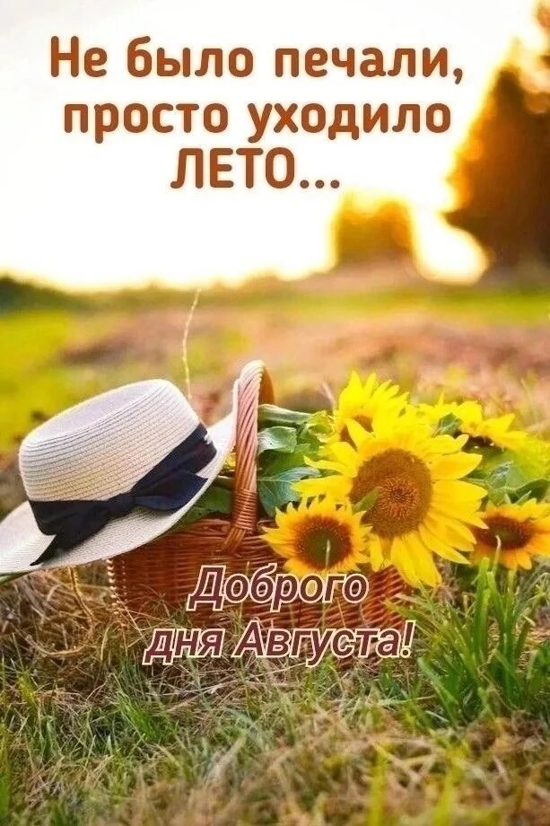 Картинка доброе утро лета с пожеланиями С добрым утром четверга #Вологодскаяобласть #Вологда #город #август #доброеутро 