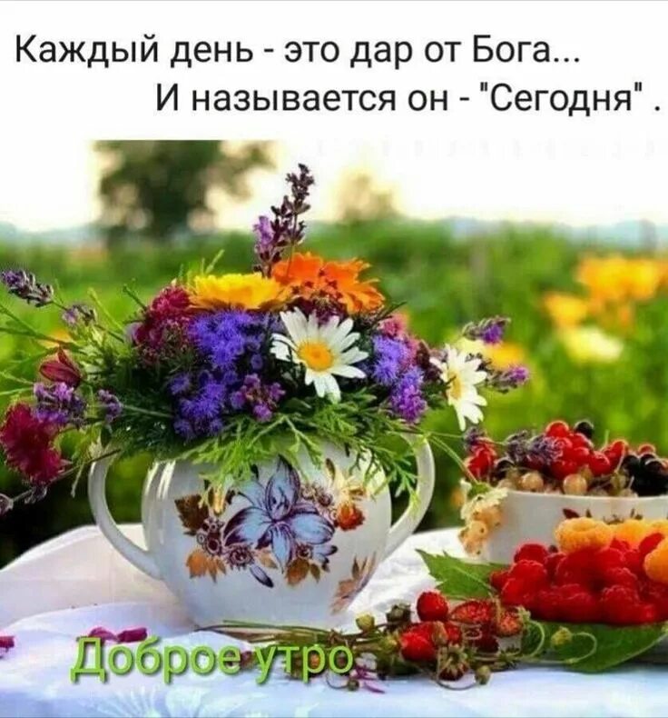 Картинка доброе утро лета с пожеланиями Pin on Доброе утро Flower garden, Flowers, Table decorations