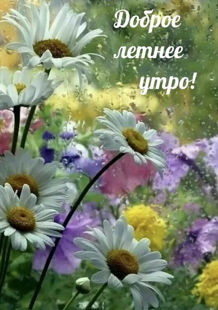 Картинка доброе утро летняя красивая природа Доброе утро Good morning cards, Good morning wishes, Good morning