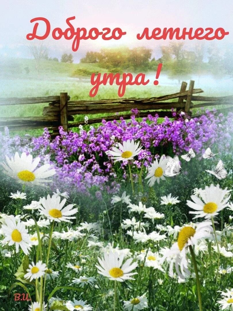 Картинка доброе утро летняя красивая природа Pin on Доброе утро Flowers gif, Nature images, Nature photography