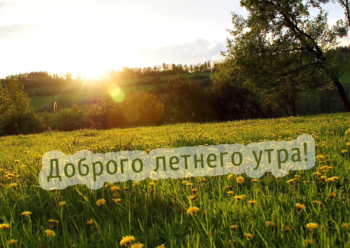 Картинка доброе утро летняя красивая природа Картинка - Доброго летнего утра!