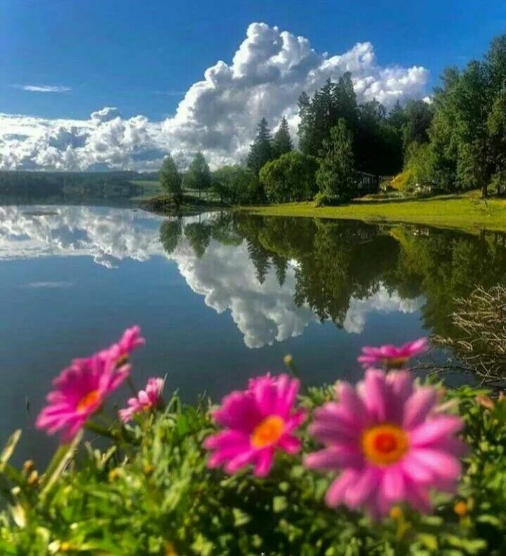 Картинка доброе утро летняя красивая природа Inderjit Kaur Laddi on Twitter in 2022 Beautiful scenery nature, Scenery, Beauti