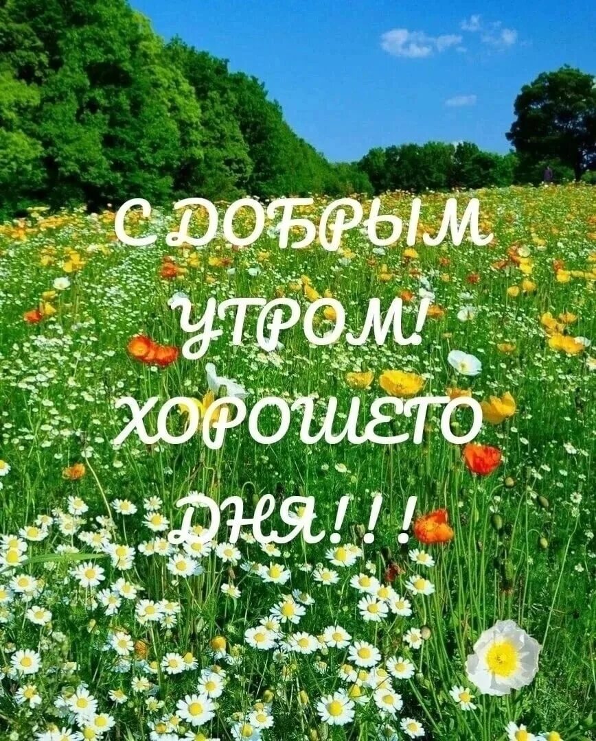 Картинка доброе утро летняя красивая природа 18 июня. С добрым утром... (Светлана Боголюбова) / Стихи.ру