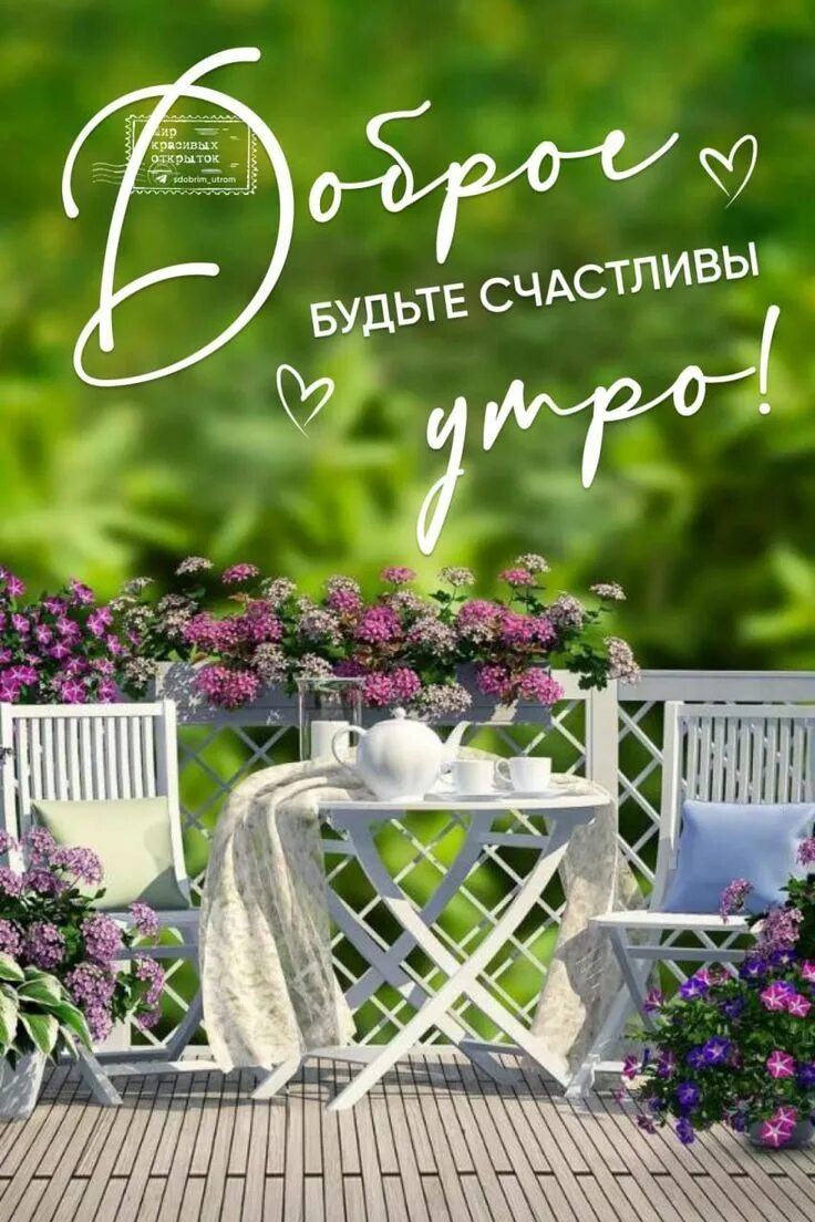 Картинка доброе утро летняя красивая природа ДОБРОЕ УТРО лето красивые открытки картинки утренние сообщения цитаты #доброеутр