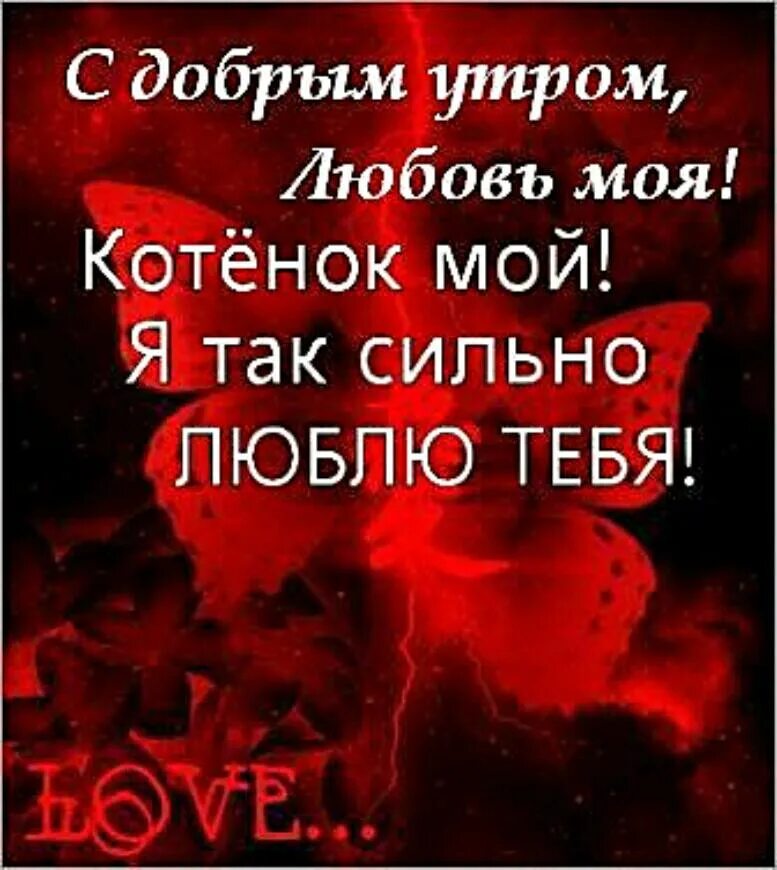 Картинка доброе утро любимая люблю тебя Доброе утро мой любимый малыш своими словами
