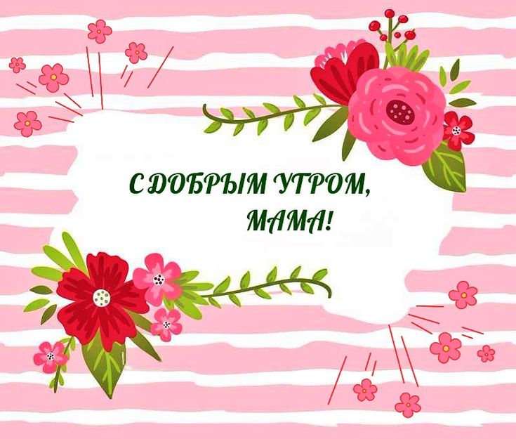 Картинка доброе утро мамуля хорошего дня Pin di Good mornings