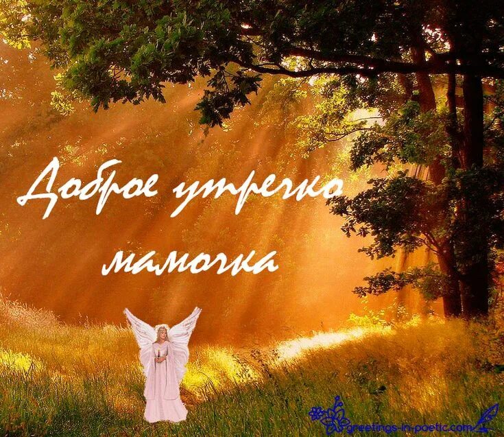 Картинка доброе утро мамуля хорошего дня Ghim của Уразаева Наталия trên открытки