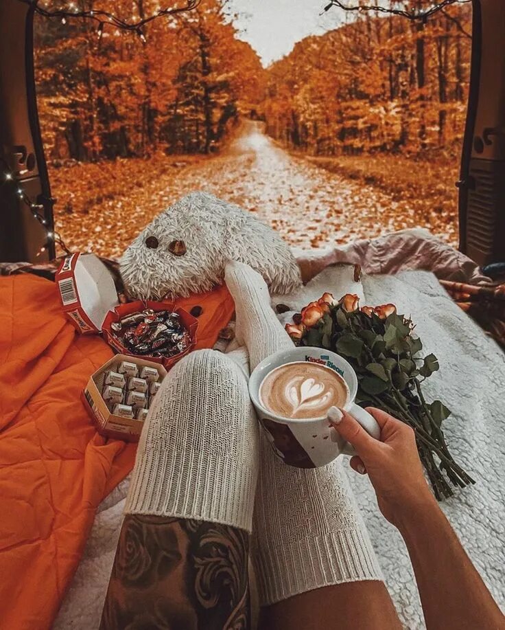 Картинка доброе утро осень красивая и стильная @cozy.fall on Instagram: "LIFE UPDATE: One of the jobs that i applied to called 