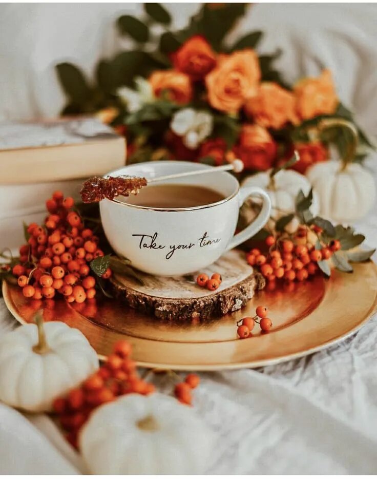 Картинка доброе утро осень красивая и стильная Pin by Giorgiana Casciotti on Dillo con un fiore.....buongiorno Autumn tea, Autu