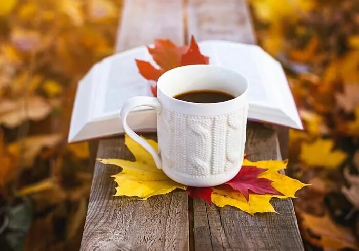 Картинка доброе утро осень красивая и стильная Пин на доске Photo. Autumn. Кофе, Пора пить кофе, Осень