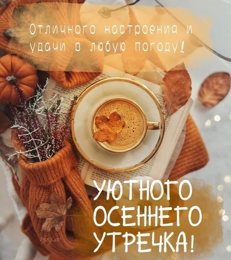 Картинка доброе утро осень красивая и стильная Доброе утро! Отличного дня! 2023 Территория красоты ВКонтакте