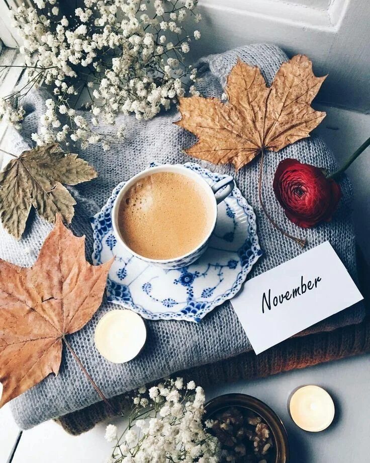 Картинка доброе утро осень красивая и стильная Pin by Barbara rathmanner on Herbst Autumn hygge, Caramel apples, November