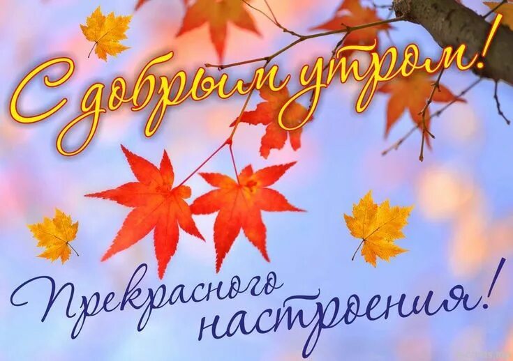 Картинка доброе утро осени и хорошего настроения Пин от пользователя Kira Lanak на доске Доброе утро и день Доброе утро, Осенние 