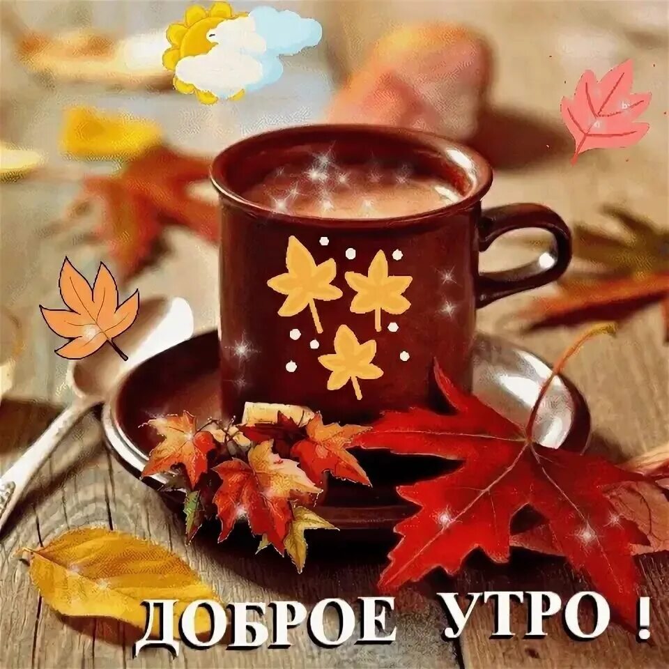 Картинка доброе утро осени и хорошего настроения Доброе Утро! 2023 Клуб "Цветоводы Тольятти" ВКонтакте
