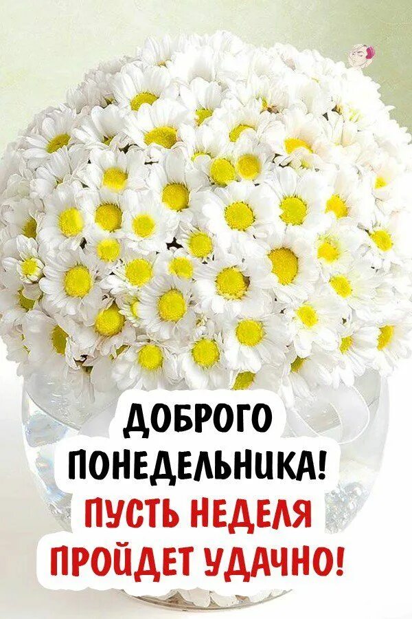 Картинка доброе утро отличного понедельника Пин от пользователя Натали на доске Быстрое сохранение Доброе утро, Открытки, Ут