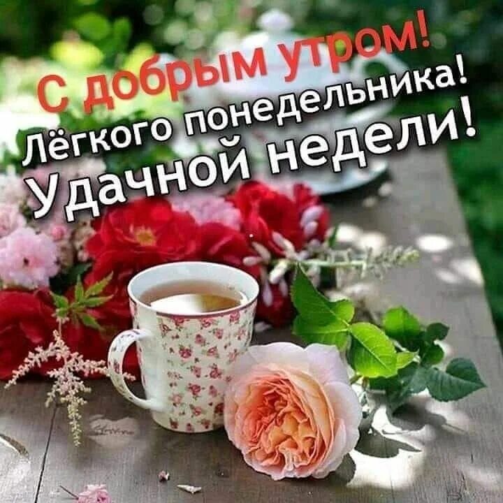 Картинка доброе утро отличного понедельника ЖИВИ ЛЕГКО и УЛЫБАЙСЯ ♥ Интересный контент в группе А-У, БАБУЛЬКИ! Встреча онлай