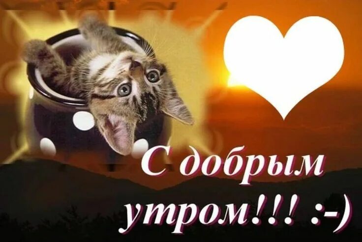 Картинка доброе утро прикольная мужчине скачать бесплатно Pin by Полина on Смешные котята in 2022 Poster, Movie posters, Art