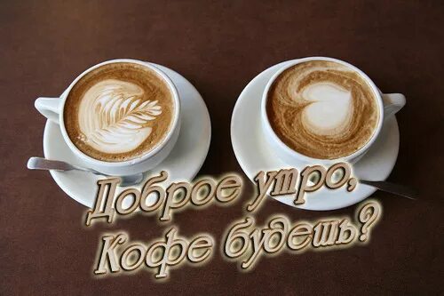Картинка доброе утро прикольная мужчине скачать бесплатно Ответы Mail.ru: Вот Я бы С ТОБОЙ выпила!!! А ТЫ СО МНОЙ?