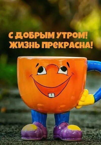 Картинка доброе утро прикольная позитивная смешная NewGrodno.by в Viber