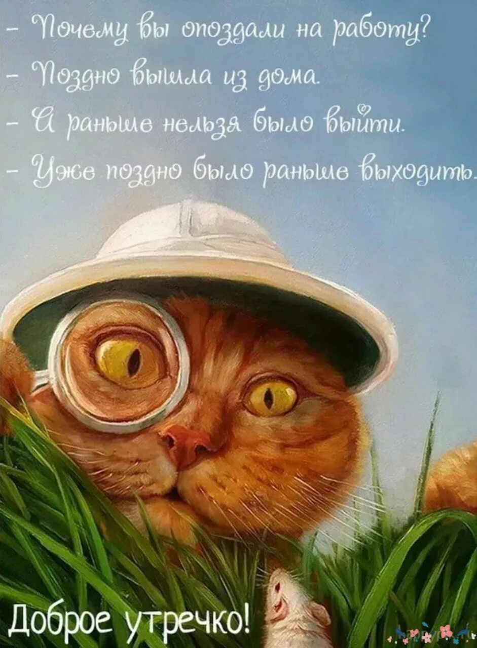 Картинка доброе утро прикольная позитивная смешная Картинки УТРЕЧКА ДОБРОГО РЖАЧНЫЕ