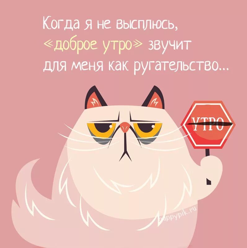 Картинка доброе утро прикольная позитивная смешная С добрым утром! кот. Цитаты о вдохновении, Смешные тексты, Доброе утро