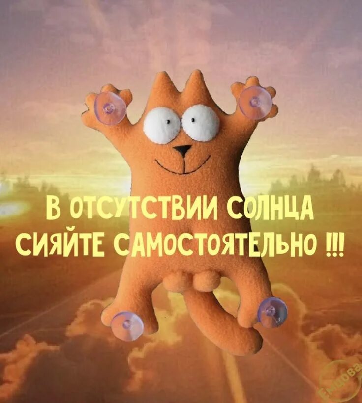 Картинка доброе утро прикольная позитивная смешная Котики Смешной юмор, Вдохновляющие цитаты, Смешно