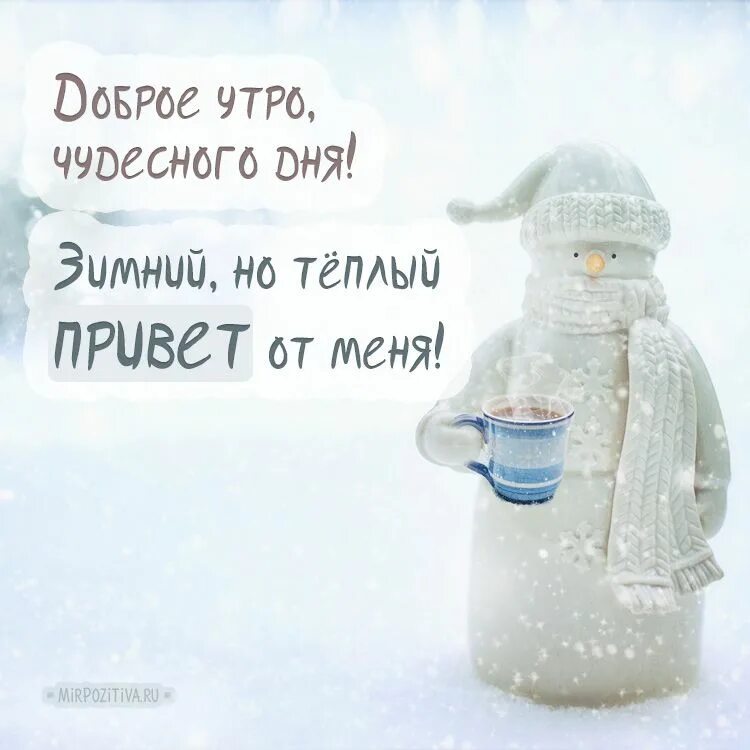 Картинка доброе утро прикольная позитивная зимняя С добрым утром: зимние картинки в 2022 г Доброе утро, Подвески для растений, Кар