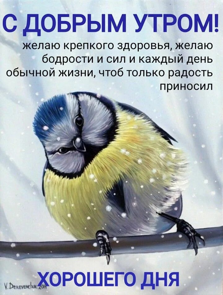 Картинка доброе утро прикольная позитивная зимняя Пин от пользователя Татьяна Кравцова на доске Доброе утро! Доброе утро, Веселые 