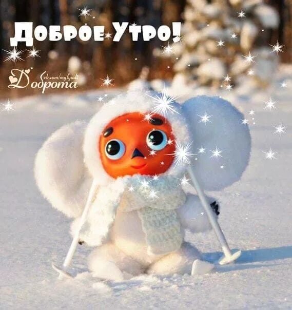 Картинка доброе утро прикольная позитивная зимняя Пин от пользователя Галина на доске Доброе утро Доброе утро, Милые тексты, Смешн