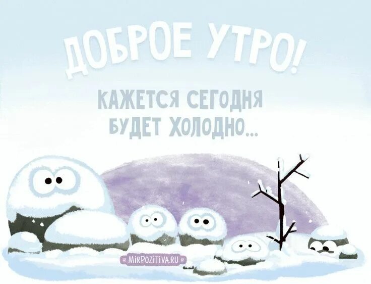 Картинка доброе утро прикольная позитивная зимняя Пин на доске Доброе утро Доброе утро, Смешные карикатуры, Счастливые картинки