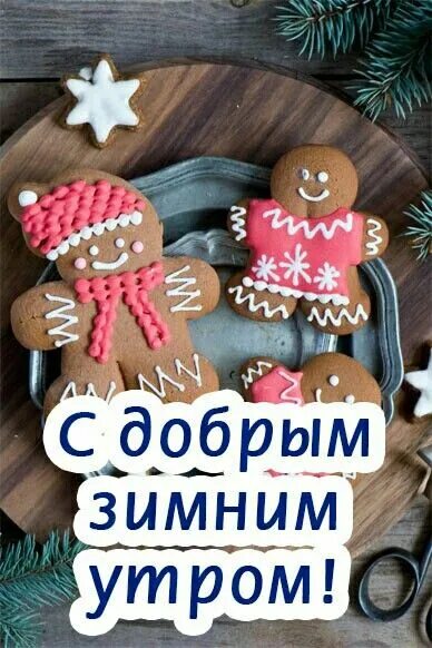 Картинка доброе утро прикольная позитивная зимняя Пин на доске Доброе утро! Поделки, Рождественские угощения, Дни рождения